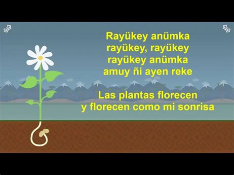 Tremüley anümka Crece la planta canción en Mapudungun Acordes Chordify