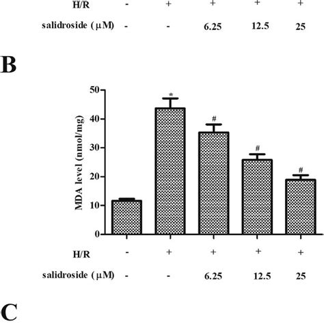 Salidroside Pretreatment Inhibited Oxidative Stress In Hr Stimulated