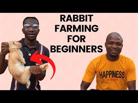 How To Start Rabbit Farming And Make Money For Beginners Part Youtube