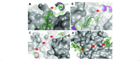 Electron Density Maps Of Flexible Regions In S100 Complexes Download Scientific Diagram