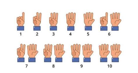 10 Finger Chart