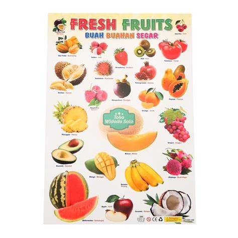 Jual Poster Edukasi Buah Buahan Segar 35x50cm 1 Lembar Shopee Indonesia