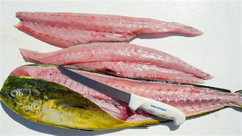 How To Fillet And Clean Mahi Mahi Dolphin Aka Dorado Youtube