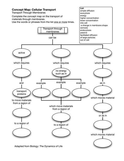 Membrane Transport Concept Map Answer Key Printable Templates Free