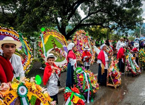 Se acerca el Desfile de Silleteros guía para identificar los tipos de