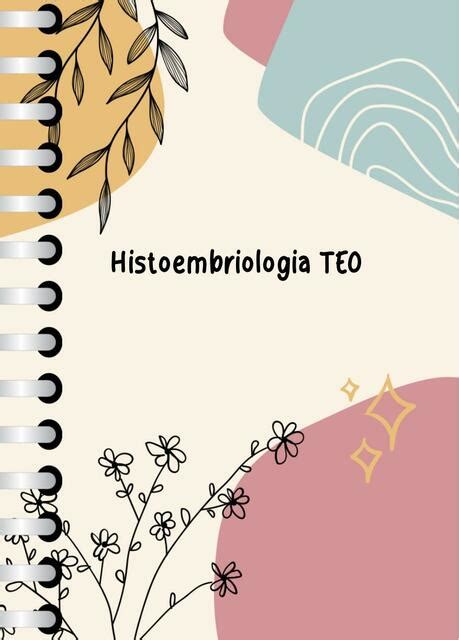 Histoembriología TEO javi uDocz