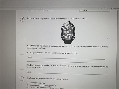 Решу впр 7 биология 2024 с ответами