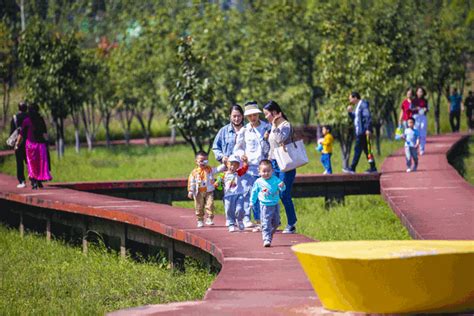 马上建好！西安人家门口又将多一个新公园公园新区西安市新浪新闻