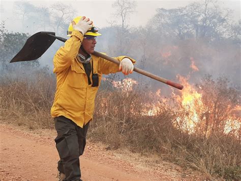 Alerta Ola De Incendios Forestales Golpea El Centro Del PaÍs El