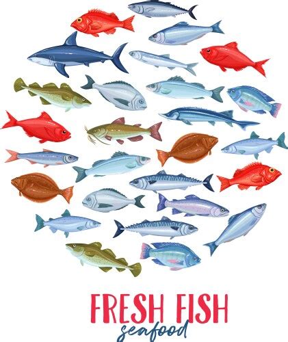 Sea Fish Realistic Concept Royalty Free Vector Image