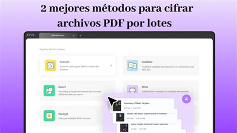 Cómo cifrar fácilmente archivos PDF por lotes UPDF