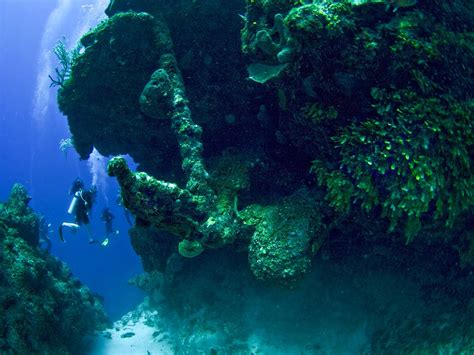 Scuba Diving Near Providenciales Turks Caicos The Complete Guide