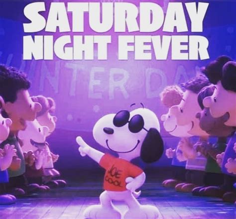 Pin By Lisa Peterson On Snoopy In Snoopy Love Night Fever