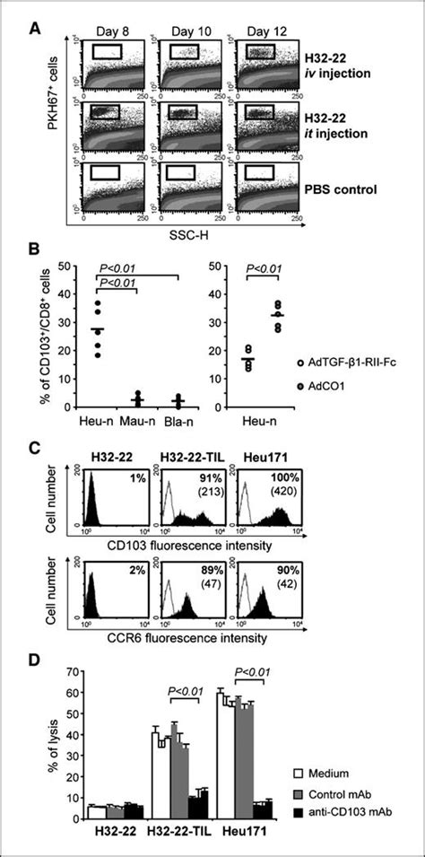 Intratumoral Induction Of Cd103 Triggers Tumor Specific Ctl Function