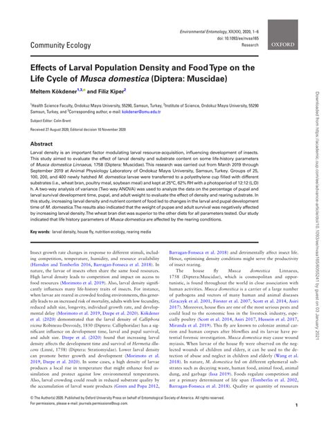 (PDF) Effects of Larval Population Density and Food Type on the Life Cycle of Musca domestica ...