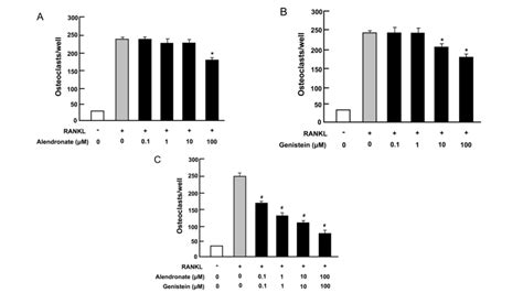 Combination Of Alendronate And Genistein Synergistically Suppresses