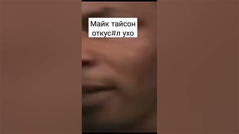 Майк Тайсон откусил ухо#майктайсон#тайсон - YouTube