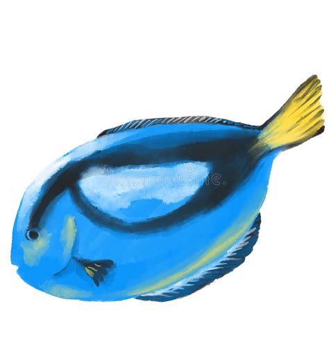 Bleu Tang Poisson Tropical Color Aquarelle Peinture Illustration