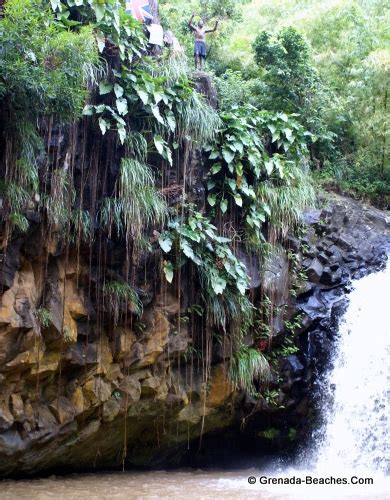 Jumping Off Annadale Waterfalls Grenada – Video – Grenada Beaches