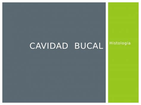 PPTX Histología Cavidad Bucal PDFSLIDE NET