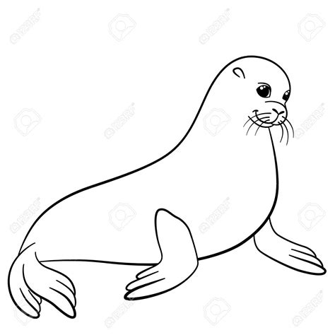 Seal Line Drawing at PaintingValley.com | Explore collection of Seal ...