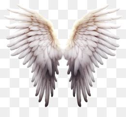 Angel Wings Emoji PNG and Angel Wings Emoji Transparent Clipart Free Download. - CleanPNG / KissPNG