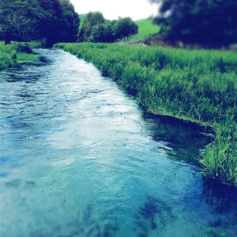 Spring Water Stock Photo Image Of Brook River Clean 50878222