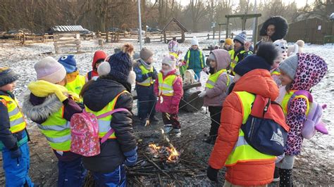 Leśna Banda zima Przedszkole 340 Kasztanowego Ludka