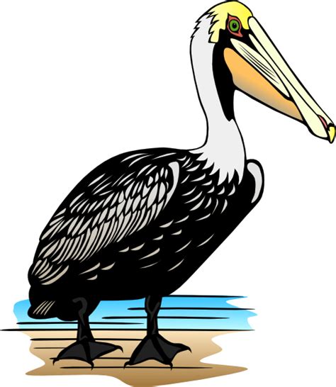 Pelican clip art (118936) Free SVG Download / 4 Vector