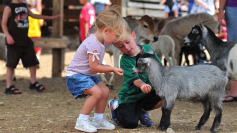 Petting Zoo Halifax Pa Lake Tobias Wildlife Park