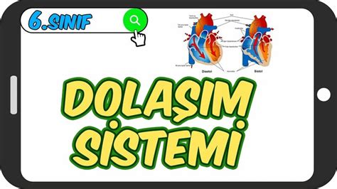 Dolaşım Sistemi Taktikli Konu Anlatımı 6 Sınıf Fen 2023