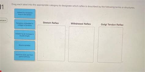 Solved Drag Each Label Into The Appropriate Category To