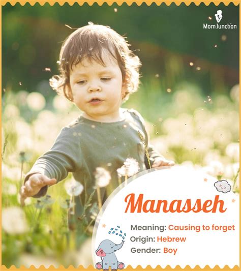 Manasseh Name Meaning, Origin, History, And Popularity