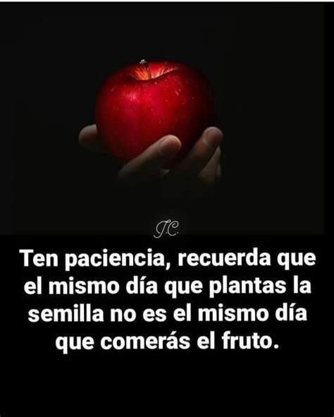 Ten paciencia recuerda que el mismo día que plantas la semilla no es