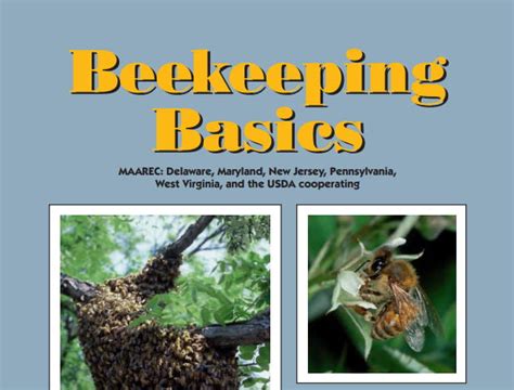 Bee Keeping Basics – a pdf manual all about beekeeping – Beekeeping in Fiji