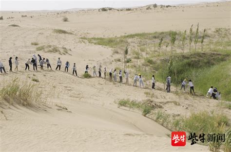 治沙九年，南航大学生在腾格里沙漠种下片片“绿洲” 种植 团队 梭梭