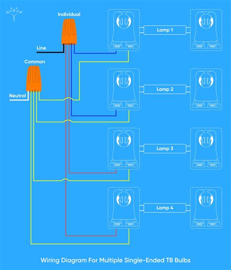 How To Direct Wire A Single Ended T8 Led Bulbs
