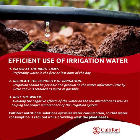 Efficient Use Of Irrigation Water In Agriculture