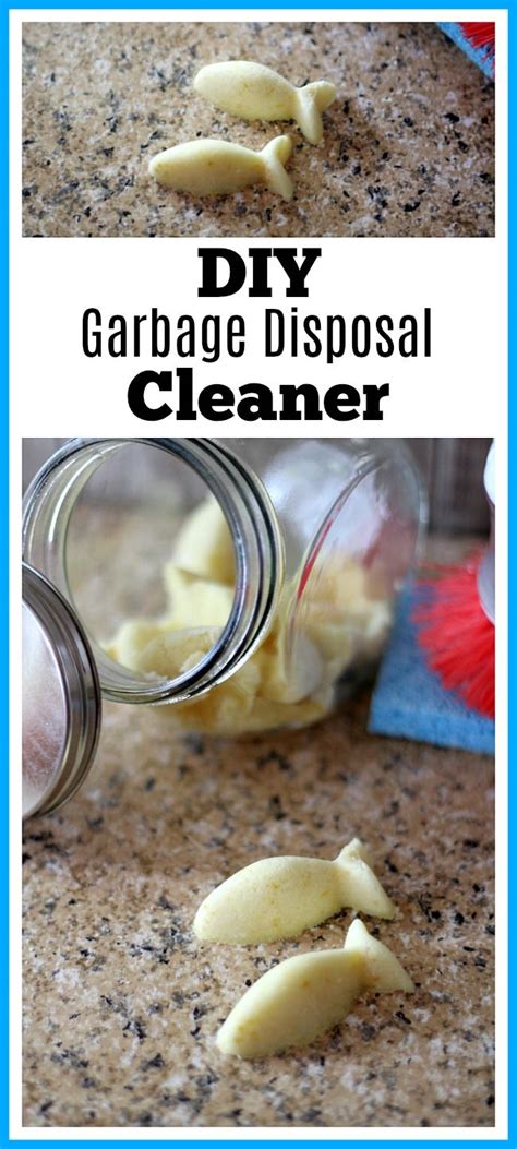 DIY Garbage Disposal Cleaner- Easy Homemade Disposal Refresher ...