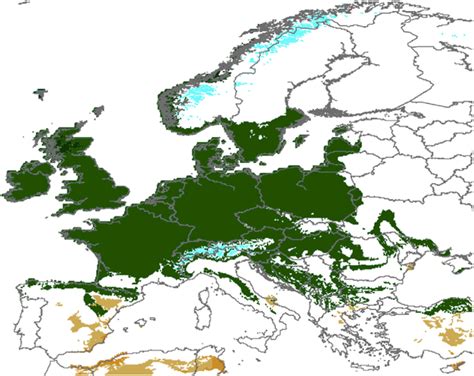 Occurrence Of Köppengeiger Climate Types Bsh Bsk Cfb Cfc And Et In