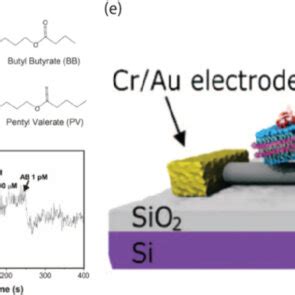 A D Sensing Different Analytes With Specificity Differentiating