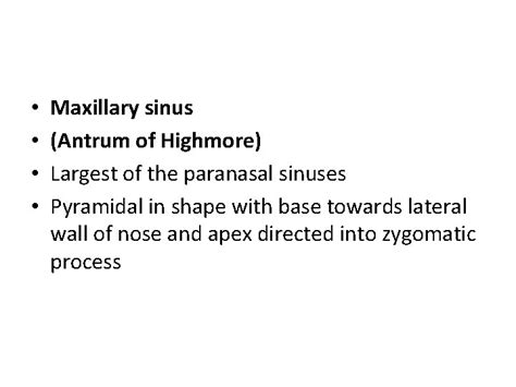 Anatomy Of Nose And Pns Dr Abhishek Bhardwaj