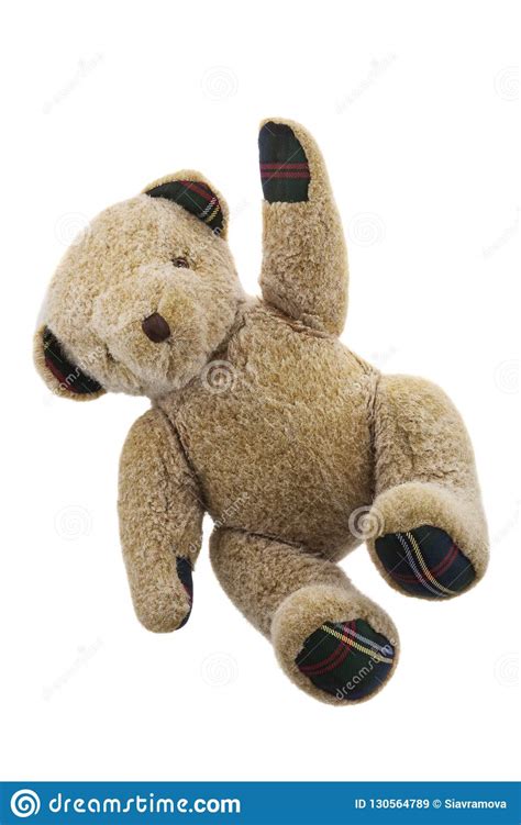 Urso Da Peluche Isolado No Fundo Branco Imagem De Stock Imagem De