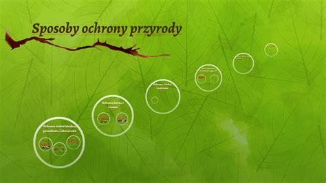 Sposoby Ochrony Przyrody By Justyna Guz On Prezi