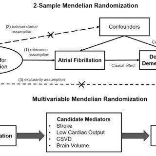 Overall design of the Mendelian randomization study. The association ... 
