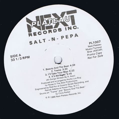 Hot Cool Vicious By Salt N Pepa Lp Next Plateau Records Inc Cdandlp Ref