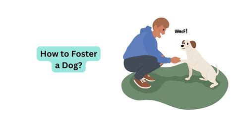 How To Foster A Dog Waggle®