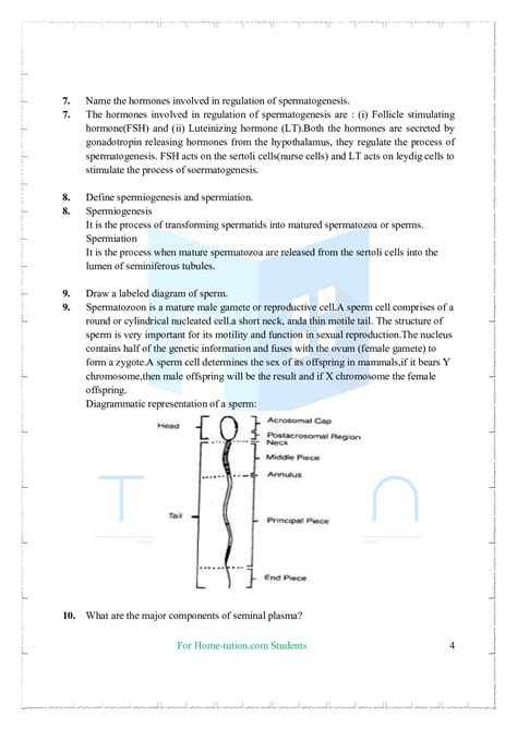 Ncert Solutions For Class 12 Biology Chapter 3 Human Reproduction