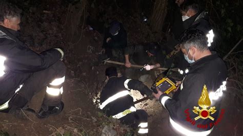 Cane Da Caccia Si Infila Nella Tana Di Un Istrice Liberato Da Vigili