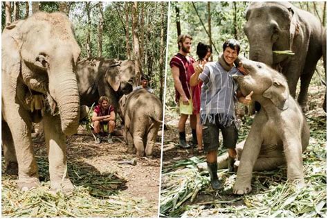 Meet And Greet Elephants In These Sanctuaries In Thailand Kkday Blog